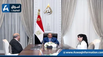 الرئيس السيسي يطرح خطة لتحديث المطارات من خلال شراكات دولية تركز على الكفاءة والاستدامة.