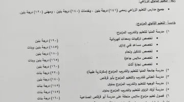 منطقة المنيا تحدد تنسيق القبول للصف الأول الثانوي: 223 للعام و185 للخاص.