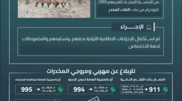 حرس الحدود في عسير يلقي القبض على عشرة أفراد لتهريبهم 200 كيلوغرام من القات المخدر