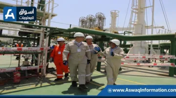 وزير البترول يزور تجهيزات سفينة التغييز “Energos Eskimo” في ميناء العين السخنة | صور