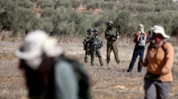 الضفة الغربية: مستوطنون يُجبرون ست عائلات فلسطينية على مغادرة منازلهم