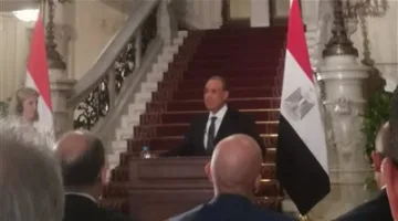 وزير الخارجية: 500 شركة نمساوية تنشط في مصر ونسعى لتعزيز الشراكة بين البلدين