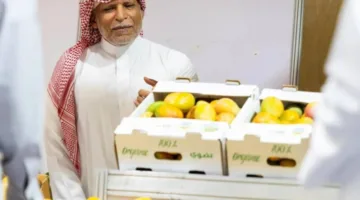 المهرجان الرابع للمانجو في أملج يستمر في تقديم نشاطاته