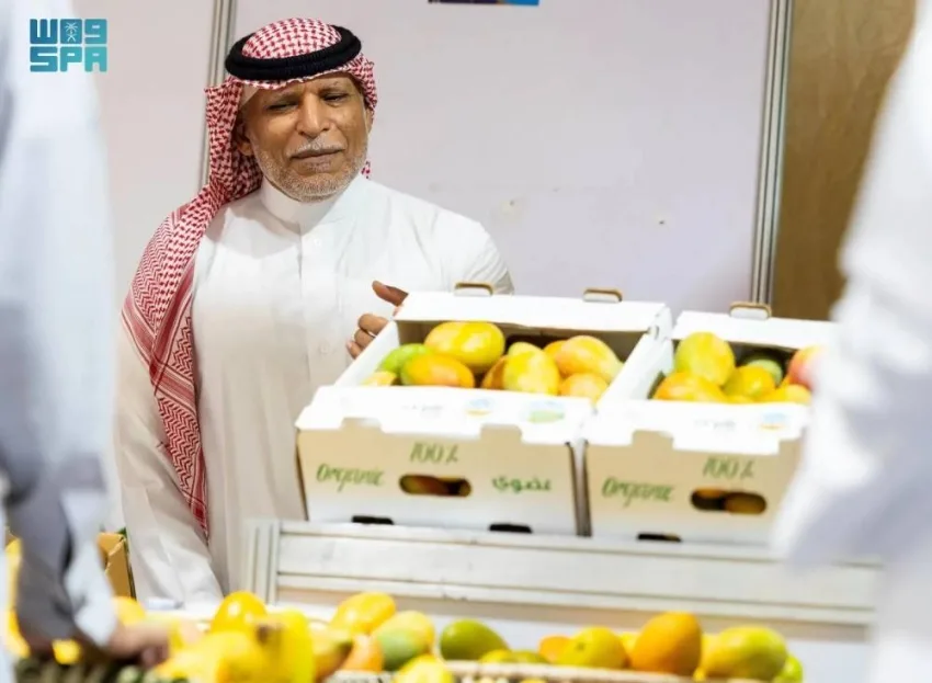 المهرجان الرابع للمانجو في أملج يستمر في تقديم نشاطاته