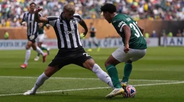 بالميراس يتجاوز بوتافوجو ويتأهل لدور ربع النهائي في كأس العالم للأندية 2025 «فيديو»