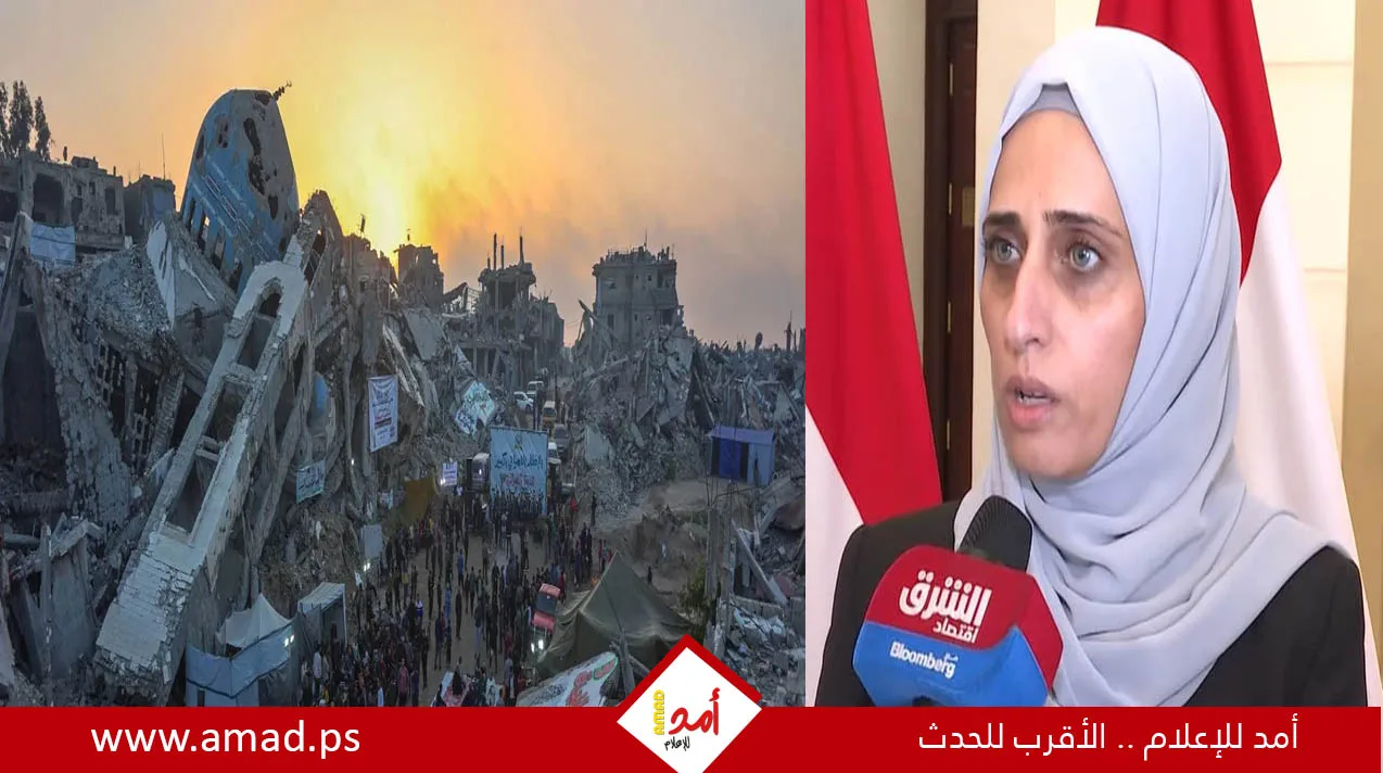 الوحيدي: 74% من شبكة الاتصالات في غزة تضررت.. ونداءات ملحة لإعادة الإعمار الوحيدي: 74% من شبكة الاتصالات في غزة تضررت.. ونداءات ملحة لإعادة الإعمار