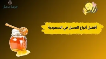 أفضل أنواع العسل في السعودية: كيفية اختيار النوع المثالي لك؟