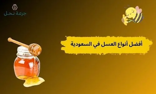 أفضل أنواع العسل في السعودية: كيفية اختيار النوع المثالي لك؟ أفضل أنواع العسل في السعودية: كيفية اختيار النوع المثالي لك؟