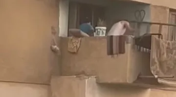 عاجل.. اعتقال والد الطفل المعتدى عليه في شرفة منزله بالعاشر من رمضان