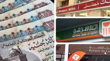 بعد تعليق شهادة الـ27%.. أفضل شهادات التوفير في البنوك المصرية لشهر يونيو 2025