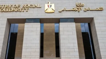 عاجل.. لتحسين خدمات الأطفال.. معلومات حول بدء الأعمال الميدانية للمسح الوطني الشامل لروضات الأطفال.