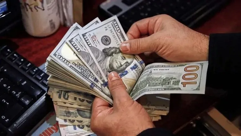 سعر الدولار مقابل الجنيه المصري اليوم الأحد 29 يونيو 2025: ثبات في بداية التداولات