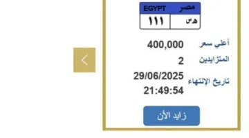 سعرها بلغ 400 ألف جنيه.. الاقبال على لوحة سيارة فريدة سينتهي خلال ساعات