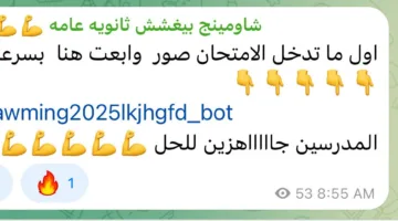 جروبات الغش لطلبة الثانوية العامة: شارك صور الامتحان والمدرسون مستعدون للمساعدة.