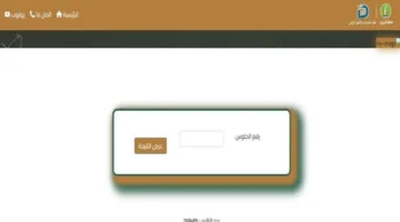 نتائج الشهادة الإعدادية في محافظة المنوفية لعام 2025 بالاسم.. رابط فعّال