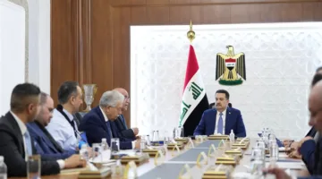 إرشادات حكومية تتعلق بقطاع الأدوية