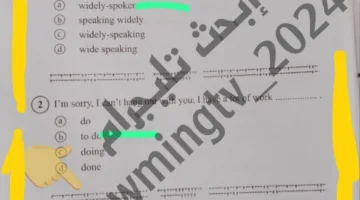 النموذج الرسمي للإجابة في اختبار اللغة الإنجليزية لطلاب الثانوية العامة 2025