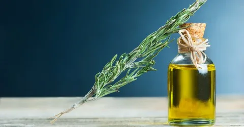 زيت إكليل الجبل: كنز طبيعي لتحسين الذاكرة وتعزيز القدرات العقلية