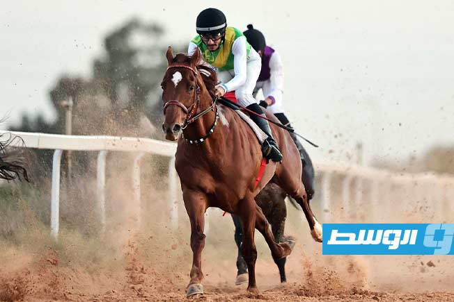 جانب من فعاليات النسخة الرابعة من بطولة كأس المربين لسباقات الخيل، السبت 29 يونيو 2025. (تصوير - محمود دردور، بوابة الوسط)
