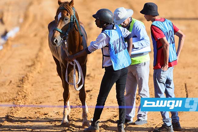 جانب من فعاليات النسخة الرابعة من بطولة كأس المربين لسباقات الخيل، السبت 29 يونيو 2025. (تصوير - محمود دردور، بوابة الوسط)