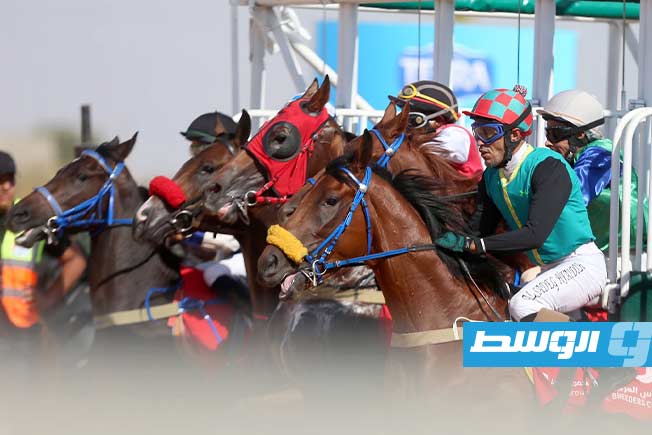 جانب من فعاليات النسخة الرابعة من بطولة كأس المربين لسباقات الخيل، السبت 29 يونيو 2025. (تصوير - محمود دردور، بوابة الوسط)