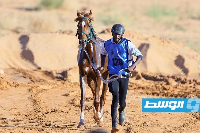 جانب من فعاليات النسخة الرابعة من بطولة كأس المربين لسباقات الخيل، السبت 29 يونيو 2025. (تصوير - محمود دردور، بوابة الوسط)