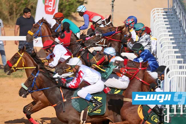 جانب من فعاليات النسخة الرابعة من بطولة كأس المربين لسباقات الخيل، السبت 29 يونيو 2025. (تصوير - محمود دردور، بوابة الوسط)
