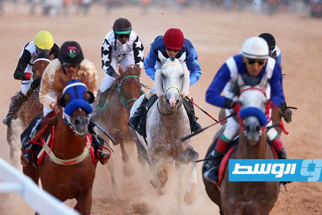 جانب من فعاليات النسخة الرابعة من بطولة كأس المربين لسباقات الخيل، السبت 29 يونيو 2025. (تصوير - محمود دردور، بوابة الوسط)