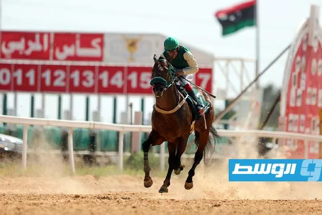 «بوابة الوسط» توثق بالصور اختتام بطولة كأس المربين لسباقات الخيل بمشاركة كبيرة. «بوابة الوسط» توثق بالصور اختتام بطولة كأس المربين لسباقات الخيل بمشاركة كبيرة.