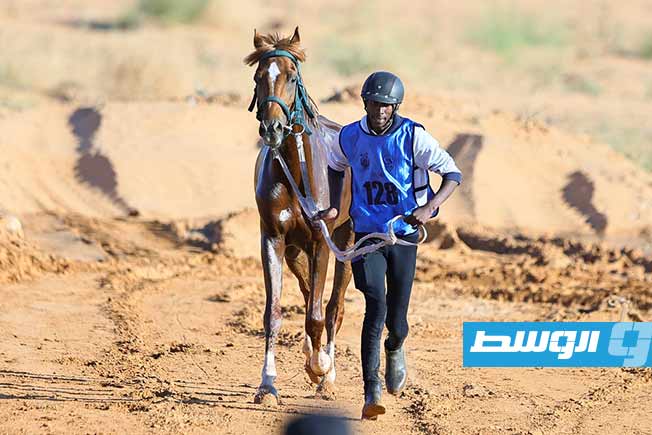 منتخب ليبيا لفروسية القدرة والتحمل يحقق إنجازًا جديدًا على الساحة الدولية، السبت 28 يونيو 2025. (تصوير - محمود دردور، بوابة الوسط)