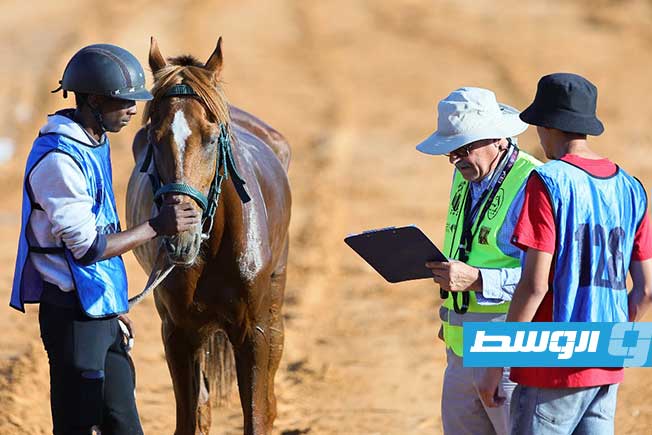 منتخب ليبيا لفروسية القدرة والتحمل يحقق إنجازًا جديدًا على الساحة الدولية، السبت 28 يونيو 2025. (تصوير - محمود دردور، بوابة الوسط)