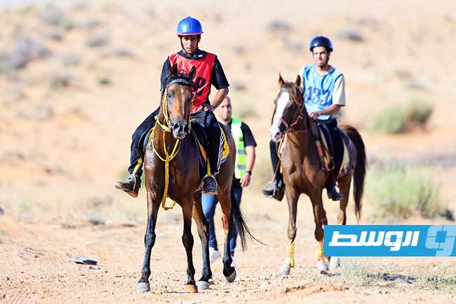 منتخب ليبيا لفروسية القدرة والتحمل يحقق إنجازًا جديدًا على الساحة الدولية، السبت 28 يونيو 2025. (تصوير - محمود دردور، بوابة الوسط)