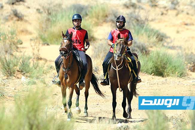 منتخب ليبيا لفروسية القدرة والتحمل يحقق إنجازًا جديدًا على الساحة الدولية، السبت 28 يونيو 2025. (تصوير - محمود دردور، بوابة الوسط)