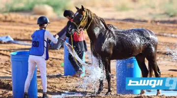 تغطية «بوابة الوسط» لتأهل ليبيا إلى بطولة العالم في القدرة والتحمل برومانيا