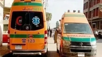سقوط ستة أفراد من عائلة واحدة بينهم طفلان في حادث انقلاب ميكروباص في المنيا