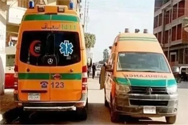 سقوط ستة أفراد من عائلة واحدة بينهم طفلان في حادث انقلاب ميكروباص في المنيا