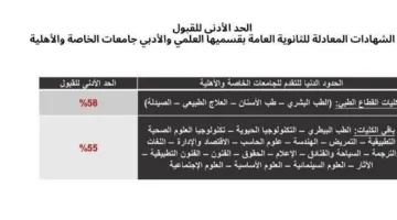 عاجل | الحد الأدنى لمعدل قبول الطلاب الأجانب في الجامعات الخاصة والأهلية: الطب 58% والهندسة 55%