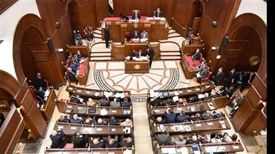مصر تحتفي: المرشحون لمجلس الشيوخ 2025 ضمن القائمة الوطنية والمستقلين في محافظة الدقهلية – صور