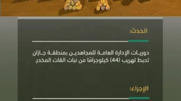 إحباط محاولة تهريب 44 كيلوغرامًا من القات في جازان