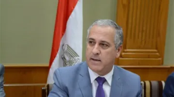 عبد الصادق الشوربجي: استثمارات جديدة من أجل دعم الصحافة