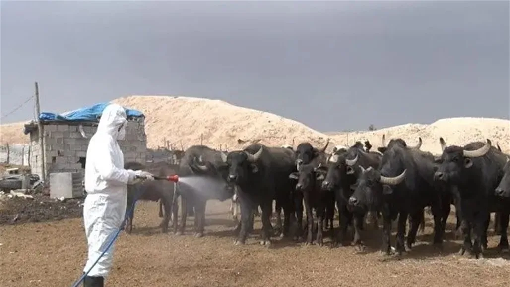 إصابة أخرى بالحمى النزفية في العراق إصابة أخرى بالحمى النزفية في العراق