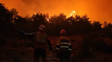 وزيرة البيئة اللبنانية بشأن حرائق القبيات: لن يتوقف هذا المشهد المأساوي دون اتخاذ إجراءات قانونية ومراقبة فعّالة