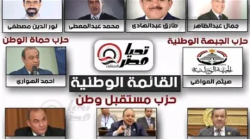 تحيا مصر يكشف عن أسماء مرشحي القائمة وتحالف الأفراد لمجلس الشيوخ في محافظة الدقهلية