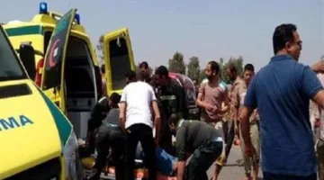 مقتل سائق ونجله في حادث على الطريق الصحراوي بالبحيرة
