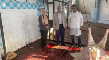 رقابة صارمة على اللحوم في دمياط لضمان جودتها وسلامتها