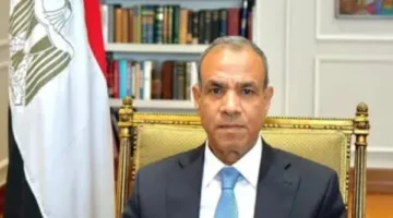 وزير الخارجية: دمعت عيناي خلال بيان 3 يوليو.. والرئيس السيسي واجه خطرًا على حياته من أجل إنقاذ البلاد.