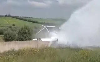 طيار يقدم حياته لإنقاذ سلحفاة من الدهس على runway الطائرات طيار يقدم حياته لإنقاذ سلحفاة من الدهس على runway الطائرات