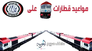 خدمة ممتازة: إنفوجراف لمواعيد وأسعار تذاكر قطار تالجو بين القاهرة والإسكندرية وأسوان