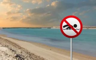 شرطة أبوظبي وبلديات النقل تنصحان الجمهور بتفادي السباحة في الأماكن الممنوعة