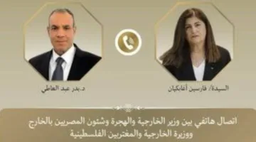 وزير الخارجية يبرز مساعي مصر لعودة وقف إطلاق النار في غزة